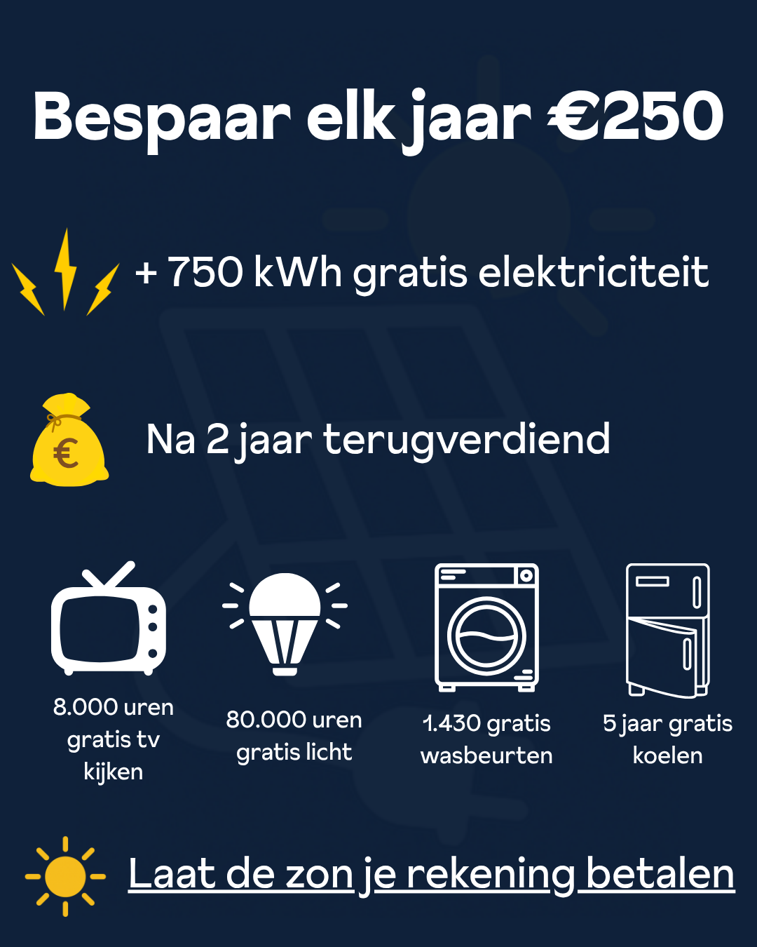 Plug & Play zonnepaneel 800W